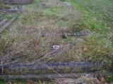image of grave number 390450